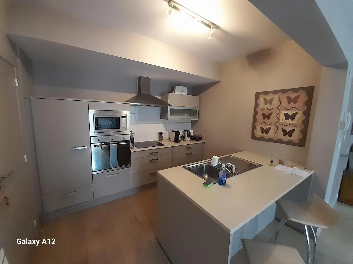 Apartment Suite L'Ane Bruges